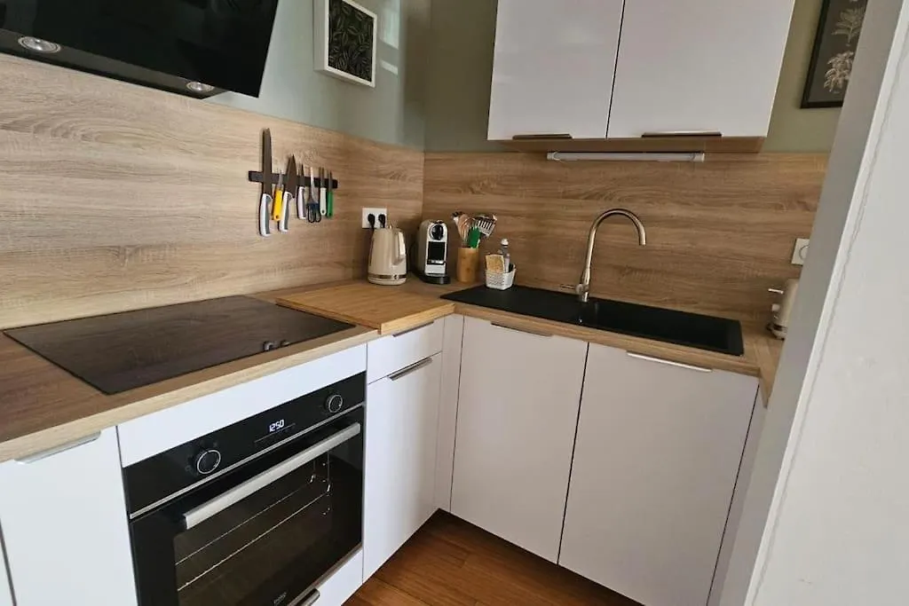 Le Grand Rue Apartment Thonon-les-Bains